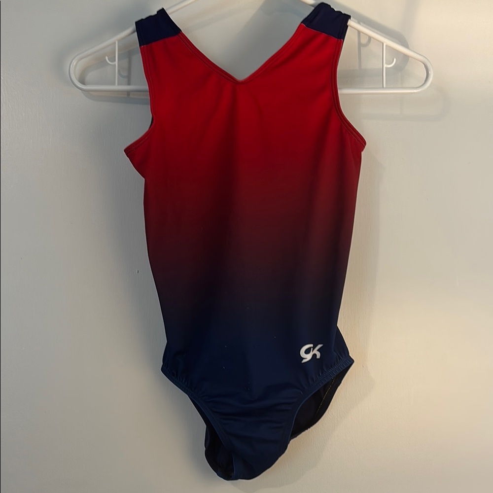 GK Red and Blue One Piece Swimwear